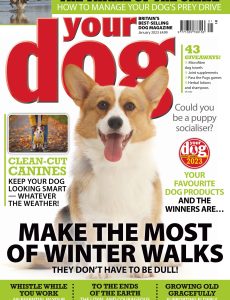 Your Dog – January 2023
