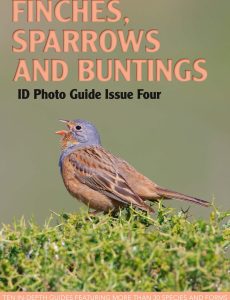 Bird ID Photo Guides – 09 January 2023