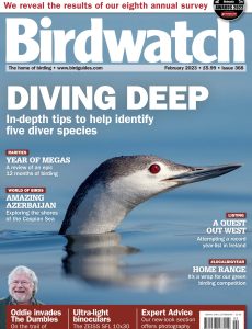 Birdwatch UK – February 2023