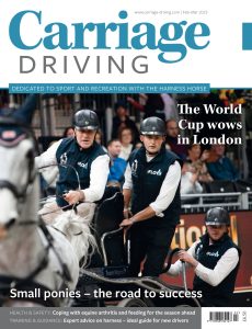 Carriage Driving – February-March 2023
