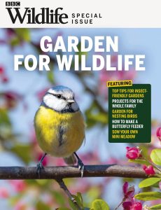 BBC Wildlife Specials – Garden for Wildlife 2023