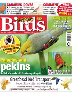 Cage & Aviary Birds – Issue 6250, February 08, 2023