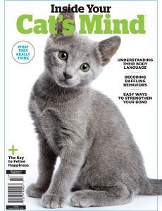 Inside Your Cat’s Mind – February 2023