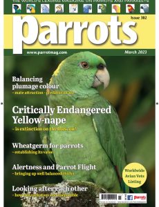 Parrots – March 2023
