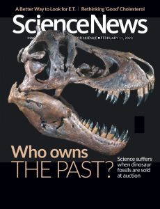 Science News – 11 February 2023