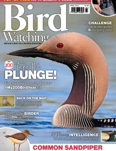 Bird Watching UK – April 2023