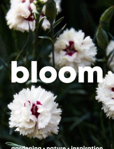Bloom – March 2023
