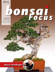 Bonsai Focus (English Edition) – March-April 2023