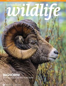 Canadian Wildlife – March-April 2023