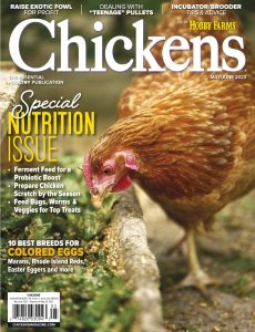 Chickens – May-June 2023