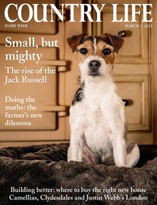 Country Life UK – March 01, 2023