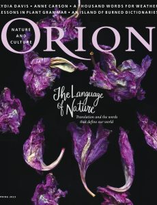 Orion – Spring 2023