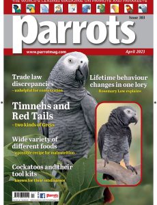 Parrots – April 2023