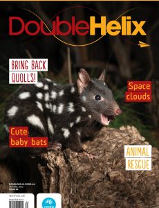 Double Helix – 15 April 2023