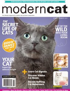 Modern Cat – Spring-Summer 2023