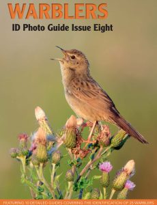 Bird ID Photo Guides – 08 May 2023