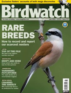 Birdwatch UK – Issue 372 – June 2023