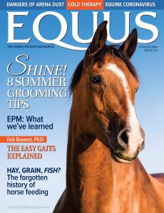Equus – Summer 2023
