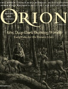 Orion – Summer 2023