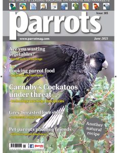 Parrots – June 2023