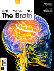 Understanding The Brain – 1st Edition 2023