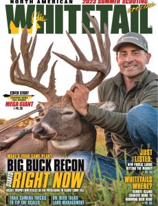 North American Whitetail – June 2023