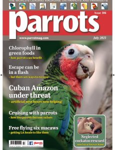 Parrots – July 2023