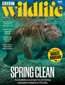 BBC Wildlife Magazine – August 2023