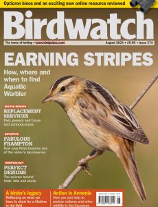 Birdwatch UK – Issue 374, August 2023