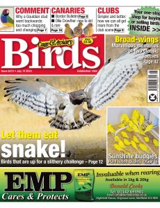 Cage & Aviary Birds – Issue 6272, July 12, 2023