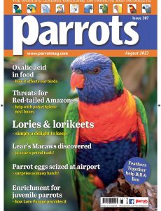 Parrots Magazine – Issue 307, August 2023