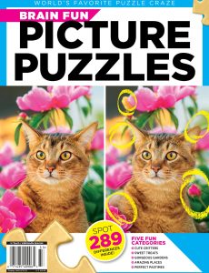 Picture Puzzles – 2023