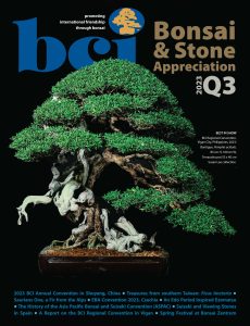 BCI Bonsai & Stone Appreciation Magazine – Q3 2023