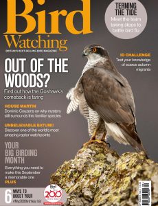 Bird Watching UK – September 2023
