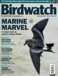 Birdwatch UK – Issue 375 – September 2023