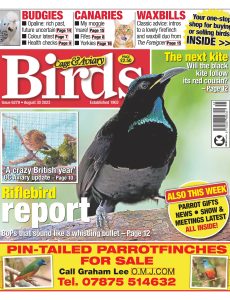 Cage & Aviary Birds – Issue 6279, August 30, 2023