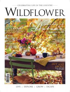 Wildflower Magazine – Autumn 2023