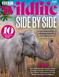 BBC Wildlife Magazine – October 2023
