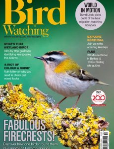 Bird Watching UK – October 2023