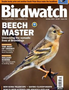 Birdwatch UK – October 2023