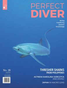 Perfect Diver – July-August 2023