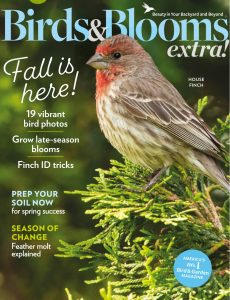 Birds and Blooms Extra – November 2023