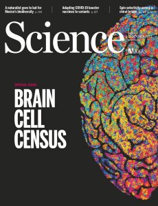 Science, Issue 6667 Volume 382, 13 October 2023