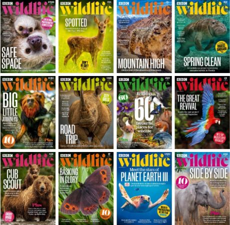 BBC Wildlife Magazine - Full Year 2023 Issues Collection