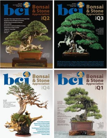 BCI Bonsai & Stone Appreciation Magazine – Full Year 2023 Issues Collection