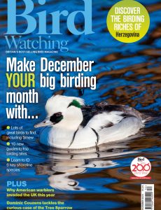 Bird Watching UK – December 2023