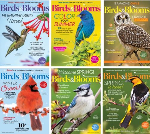 Birds & Blooms – Full Year 2023 Issues Collection