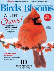 Birds & Blooms – December 2023 – January 2024
