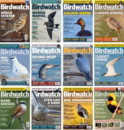 Birdwatch UK – Full Year 2023 Issues Collection