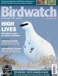 Birdwatch UK – December 2023
